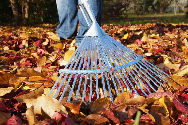 Left-behind leaves will potentially corrode a lawn post snowfall.