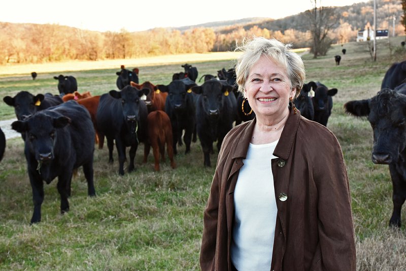 Linda Sutterfield of Mountain View stands in front of her cattle on her farm, McCallister-Sutterfield Farm. Sutterfield was recently honored by the Arkansas Beef Council with the Leo Sutterfield Leadership Award, which was named in memory of her husband, who died Sept. 13, 2017. Linda Sutterfield received the first Ridin for the Brand statuette.