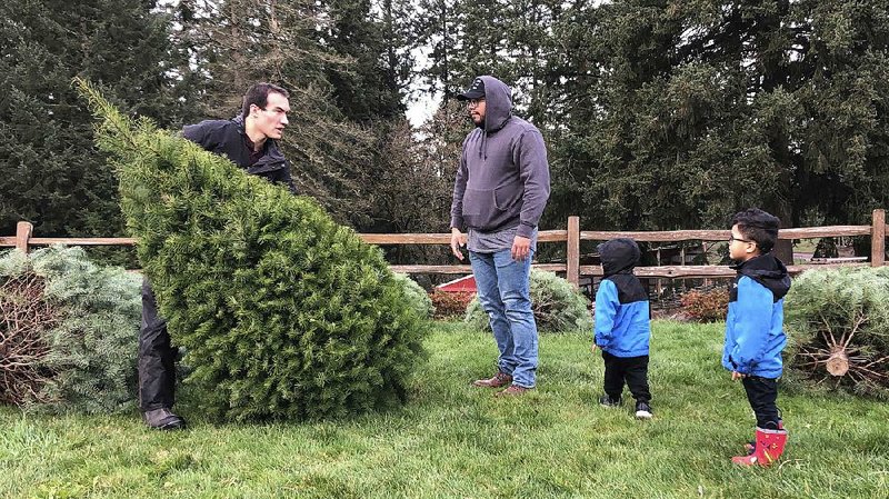 Tommy Lee, a sixth-generation Christmas tree farmer in Tualatin, Ore., helps Jason Jimenez and his sons carry the Douglas fir they selected last month. 