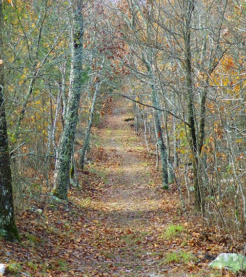 The Sentinel-Record/Corbet Deary SUNSET TRAIL: The section of Sunset Trail running from West Mountain to Blacksnake Road cuts its way through typical Ouachita Mountain terrain.