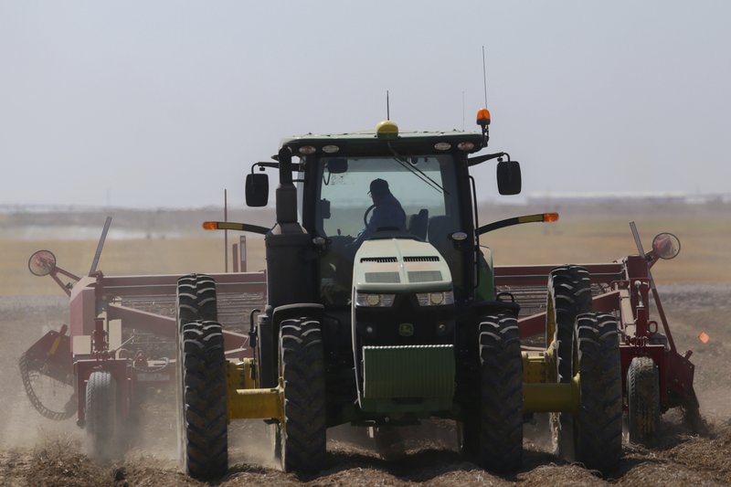 In this Sept. 19, 2018, file photo a tractor operator picks potatoes at Brett Jensen Farms outside of Idaho Falls, Idaho. (John Roark/The Idaho Post-Register via AP, File)