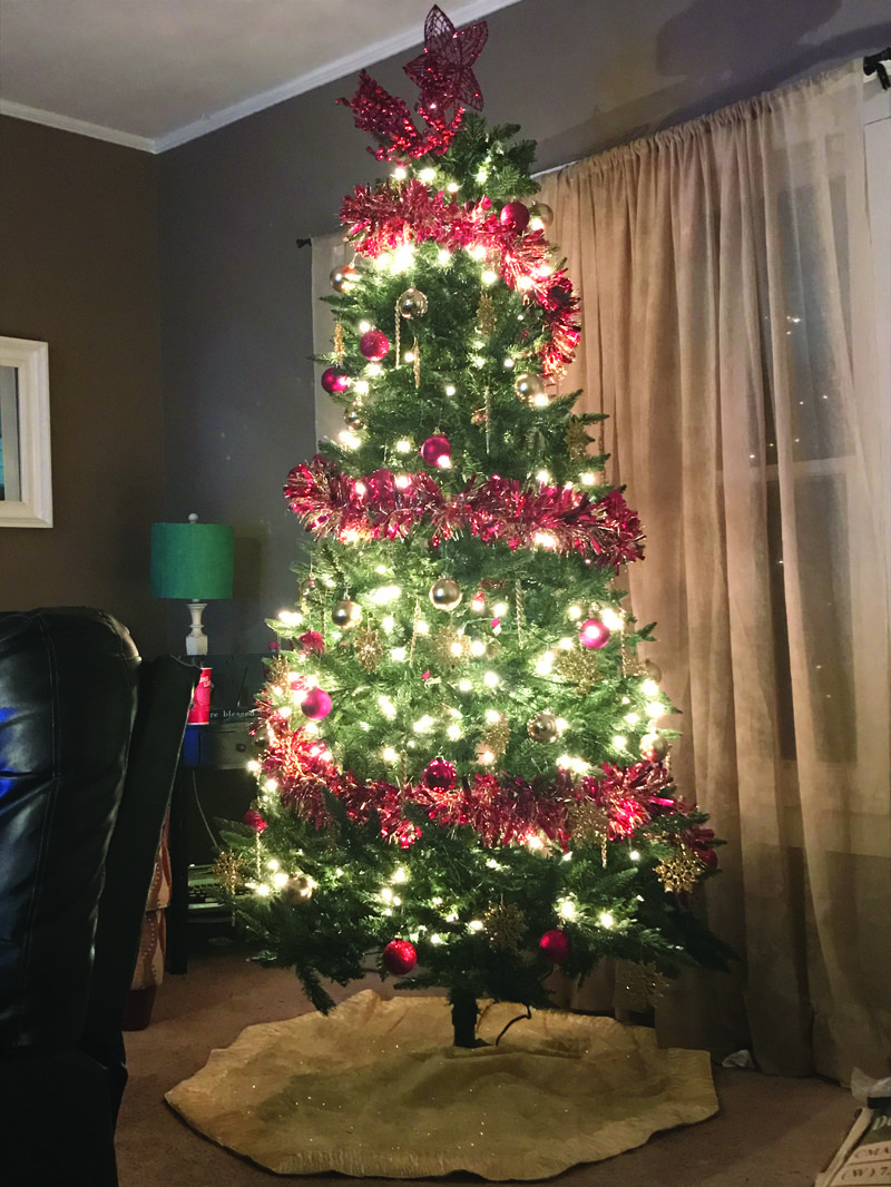 "I like to keep things simple while keeping the Christmas feel," said News-Times reporter Kaitlyn Rigdon. She has decorated her tree with red and gold accents and ornaments, wrapping with red garland and a red star topper. 