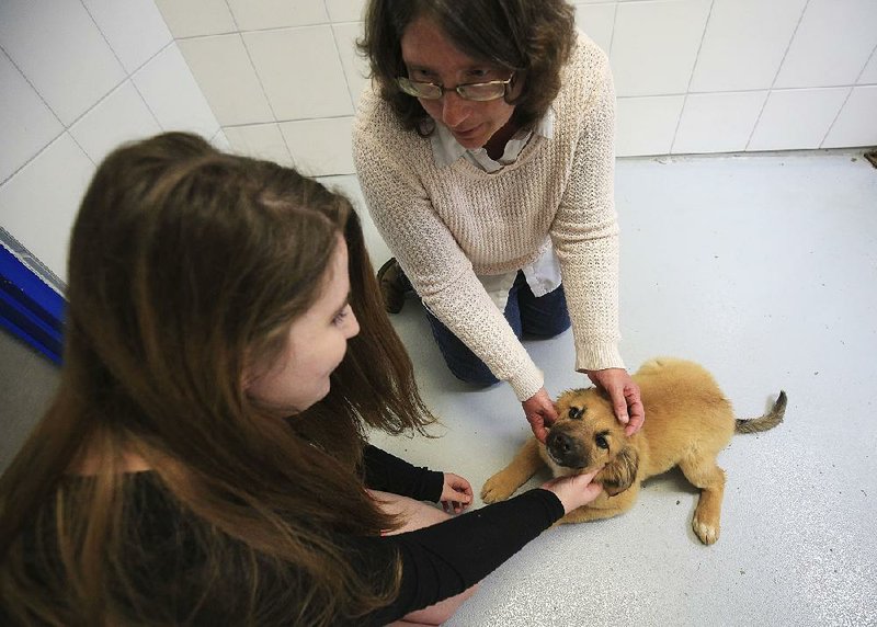 County opening animal shelter
