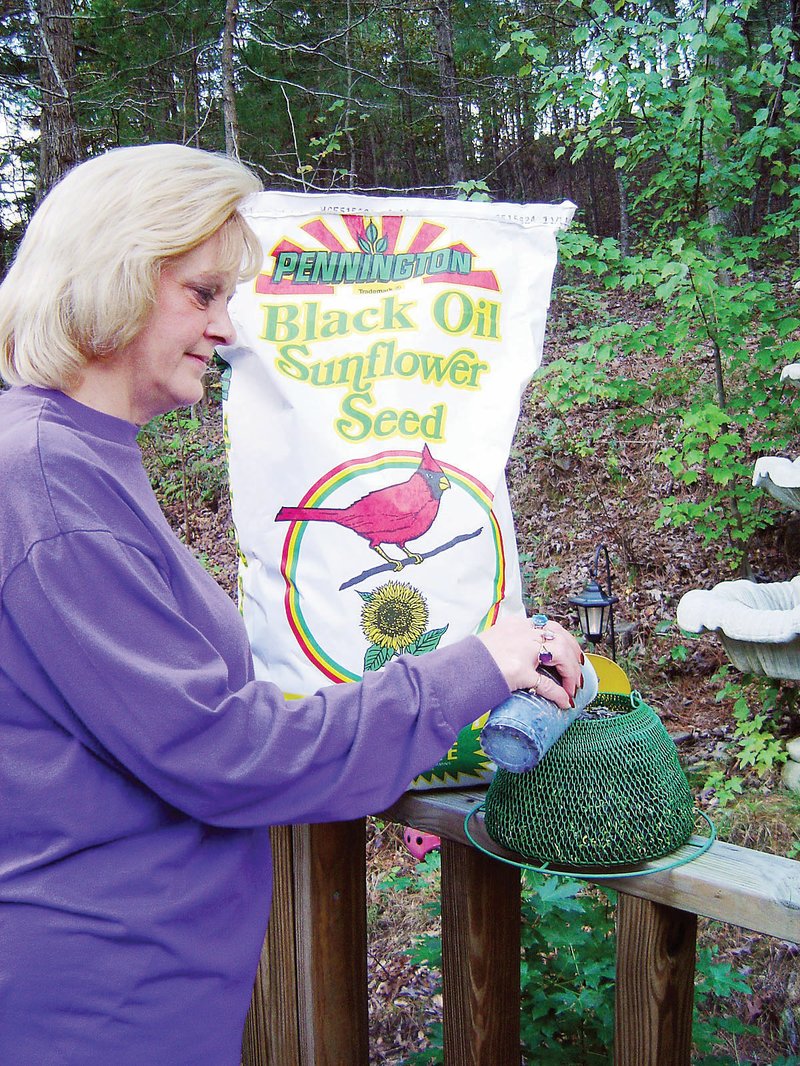 You’ll save money and attract more birds by providing bulk foods without unwanted fillers. A good choice is black-oil sunflower seeds, which Theresa Sutton of Alexander provides for birds in her yard.