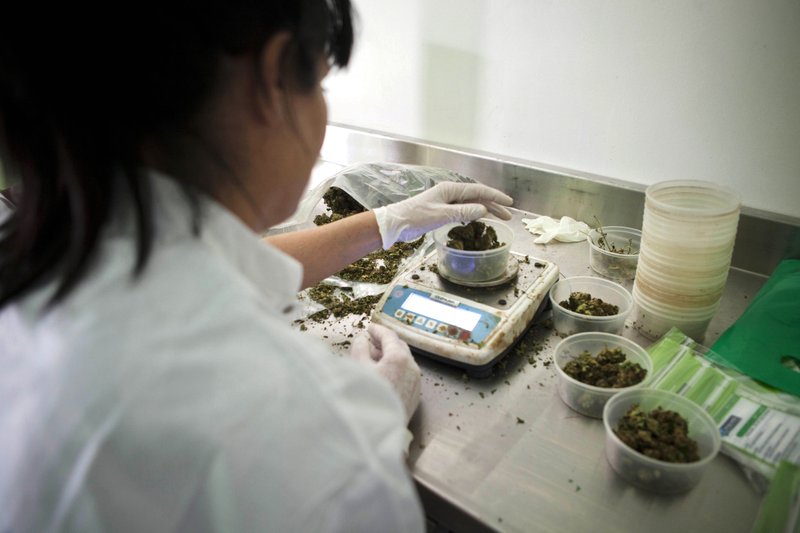  In this Nov. 1, 2012 file photo, an Israeli woman works at Tikkun Olam medical cannabis farm, near the northern Israeli city of Safed, Israel.  (AP Photo/Dan Balilty, File)