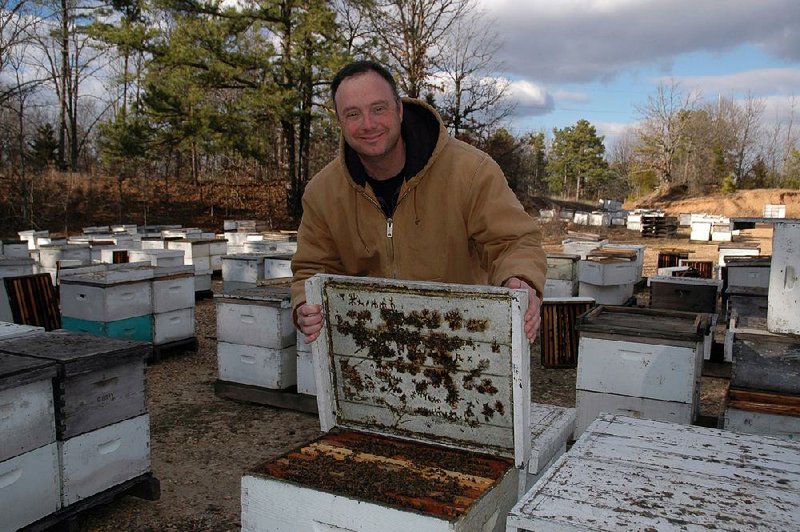 Richard Coy has been a commercial beekeeper since 1991 but says declining bee populations threaten the future of his company. 