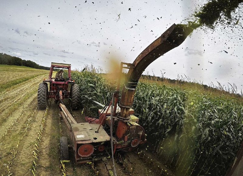Jim Minott harvests corn in September at his farm near Brunswick, Maine. U.S. producer prices fell in December, signaling potential inflation pressures in the economy are contained. 