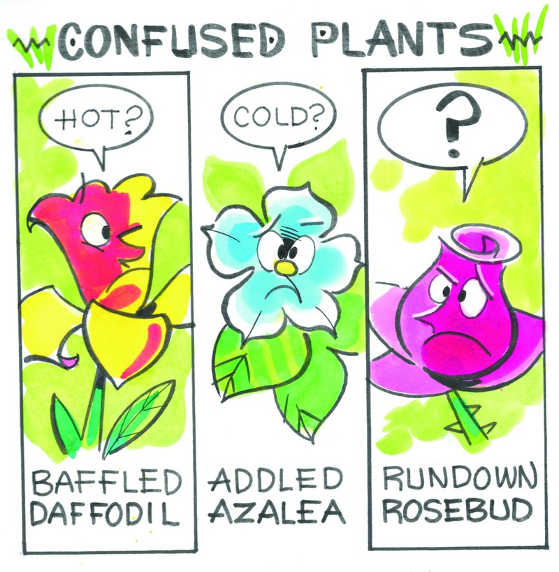 Confused plants for Janet Carson's In the Garden column of Jan. 19, 2019.
Special to the Democrat-Gazette/RON WOLFE