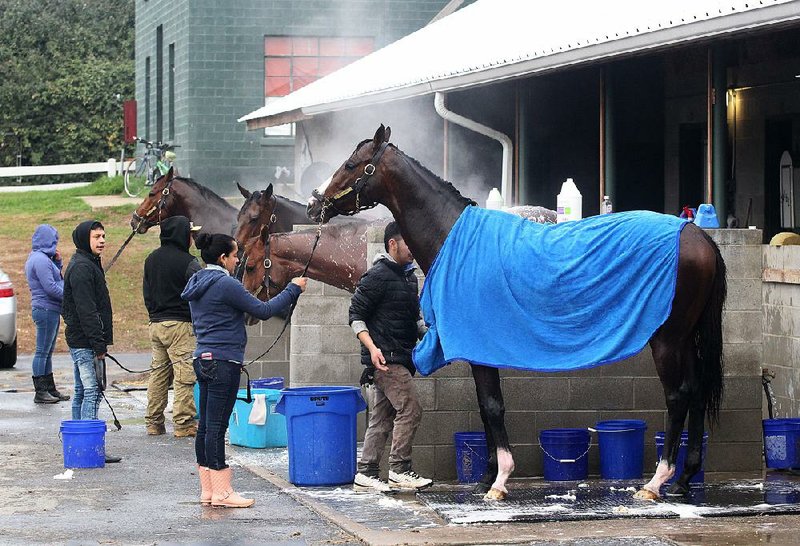 Horsemen bathe their horses last week at Oaklawn Park in preparation for the 2019 live-race meet scheduled to begin Friday.