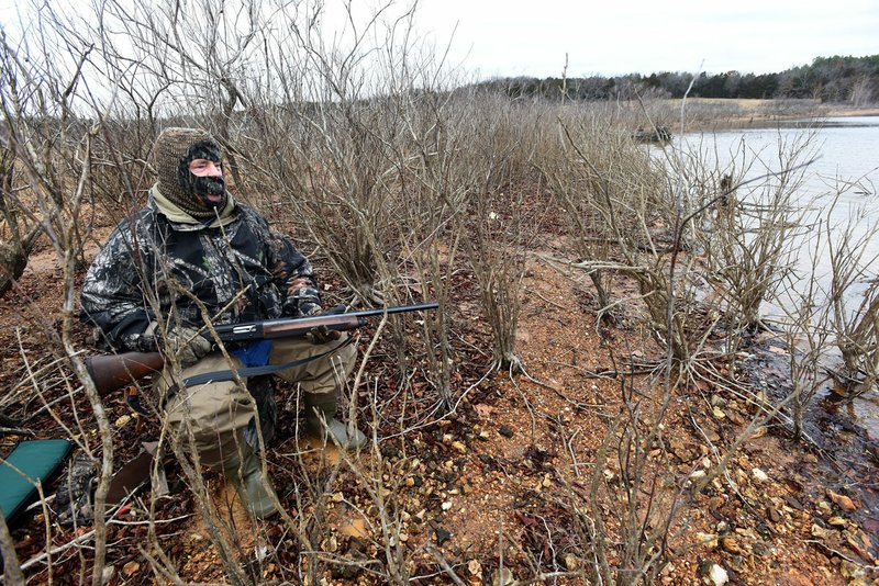 Brush along the shoreline makes a natural duck blind at Beaver Lake. Waterfowl hunting is allowed along the public shoreline at the reservoir, except in Army Corps of Engineers parks. Alan Bland of Rogers watches for ducks Dec. 28, 2018 at the lake.
(NWA Democrat-Gazette/FLIP PUTTHOFF )