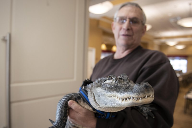 Photos Man Says Emotional Support Alligator Helps His Depression