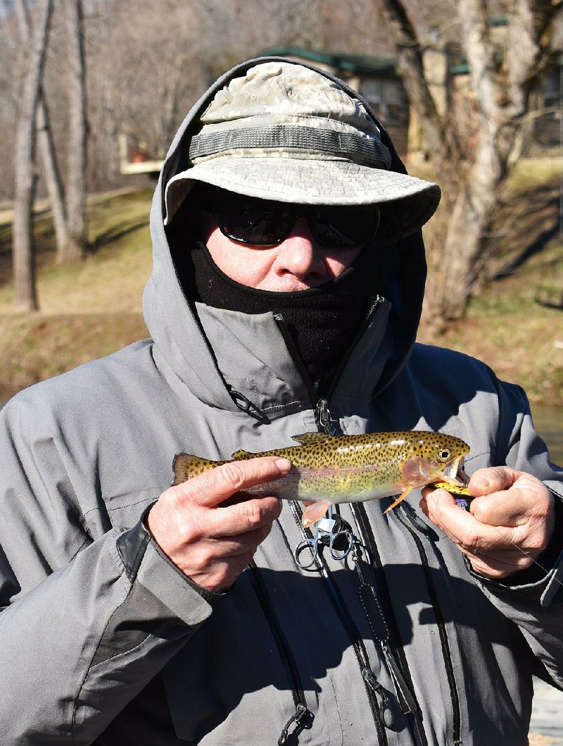 Rusty Pruitt and the author didn’t catch any big trout on the White River, but they caught many small rainbows and one brown trout trolling stickbaits in slow water by the banks.