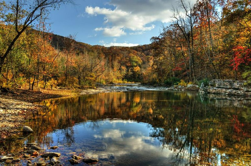 The Buffalo River Watershed Alliance -- formed in 2013 -- and the Ozark River Stewards -- dating back to 2014 -- work to preserve the beauty and water quality of the Buffalo National River. Established as the first national river in 1972, the Buffalo flows freely for 135 miles and is one of the few remaining undammed rivers in the lower 48 states.