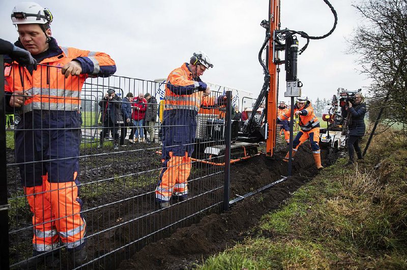 Danish workers on Monday begin erecting a 43.4-mile fence along the country’s German border to keep out wild boars in an attempt to prevent the spread of African swine fever.