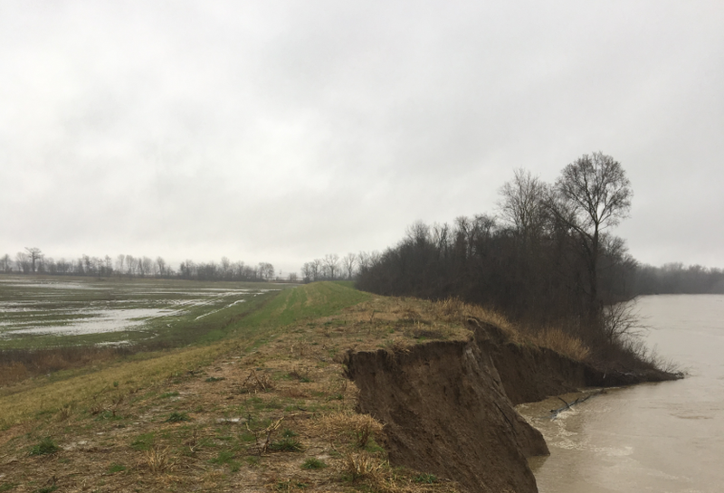 Portions of the White River levee in Jackson County eroded following heavy rains. Photo by Jackson County Judge  Jeff Phillips