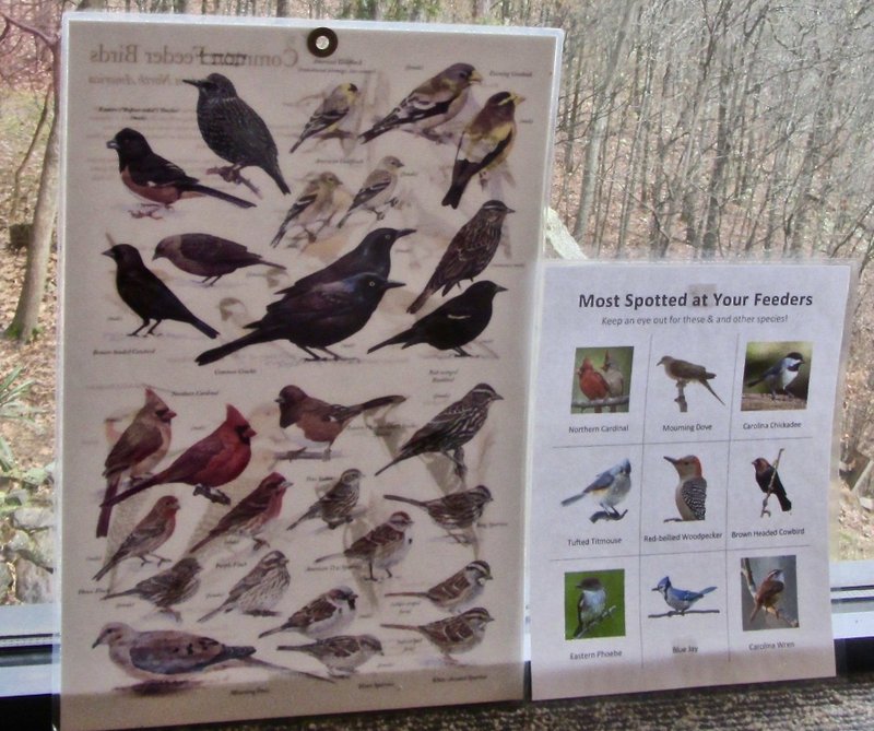 Special to the Democrat-Gazette/MARCIA SCHNEDLER
Illustrated charts at Pinnacle Mountain State Park show bird species commonly seen in Arkansas.