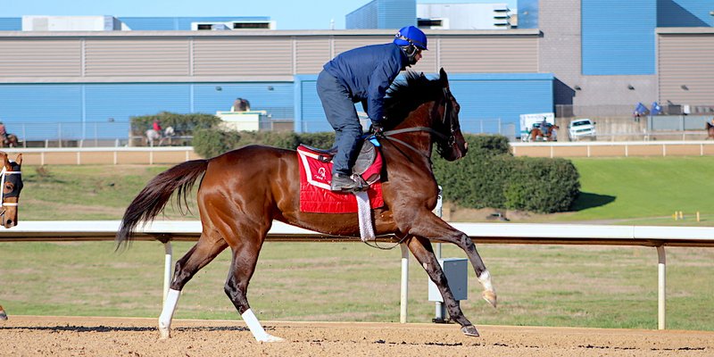 WONDER WHO: Jockey David Cohen leads Wonder Gadot on a breeze workout Wednesday at Oaklawn Park over a fast track. Photo by Cathy Riccio, courtesy of Oaklawn Park.