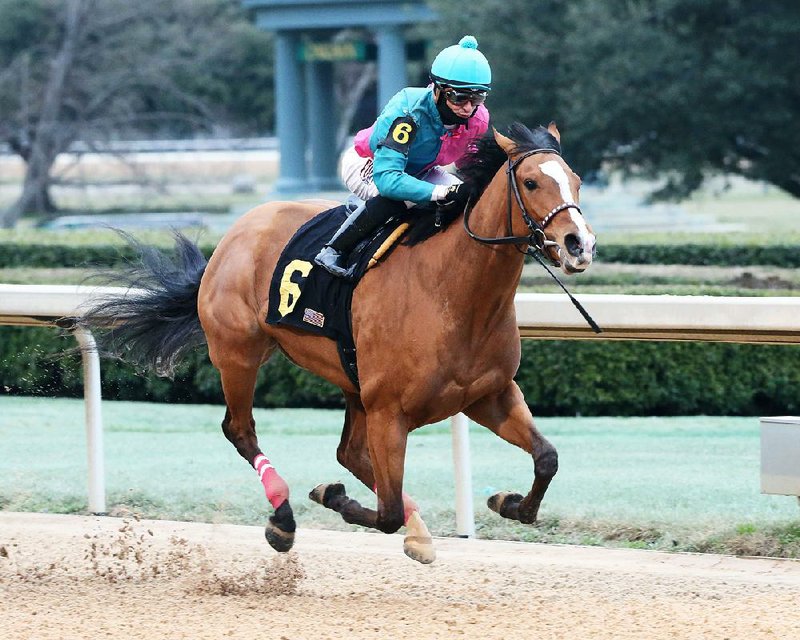 Raintree Starlet, ridden by Alex Canchari, won the $100,000 Dixie Belle Stakes on Saturday, covering 6 furlongs in 1:10.82. Raintree Starlet defeated Lady T N T by 1 length. 