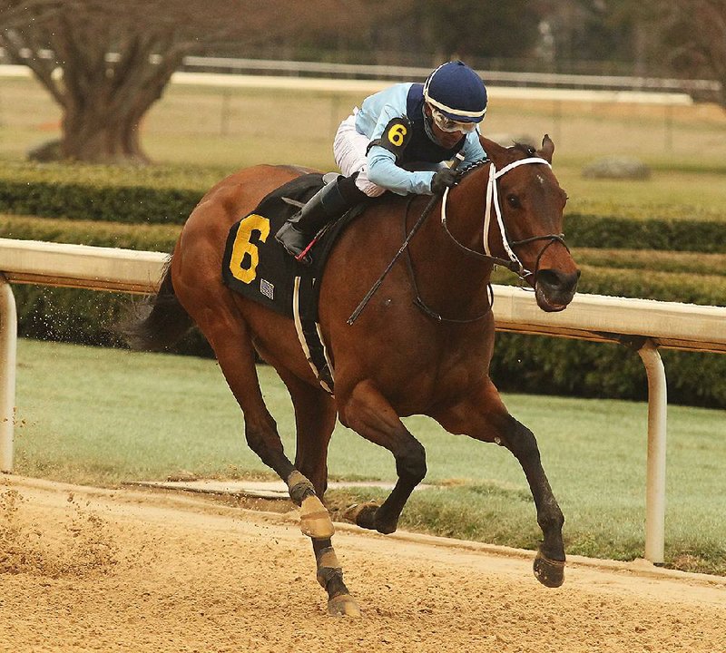 She’s A Julie, with Ricardo Santana aboard, won the $200,000 Bayakoa Stakes by 23⁄4 lengths over Promise of Spring on Monday at Oaklawn Park in Hot Springs.