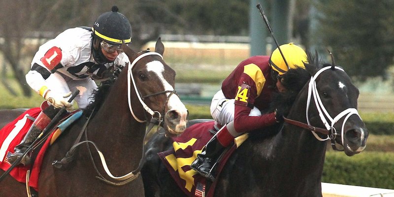 The Sentinel-Record/Richard Rasmussen MOVING TO THE FRONT: Jockey John Velazquez, right, and Coal Front (14) beat Copper Bullet (1) and jockey Jose Ortiz to the wire Monday at Oaklawn Park to win the Grade 3 $500,000 Razorback Handicap for older horses.