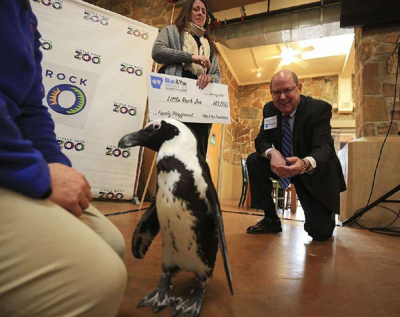 Blue & You Executive Director Patrick O’Sullivan (right) tries to make friends Tuesday with Taz, an African Black-footed Penguin, after presenting Little Rock Zoo Director Susan Altrui with a check for the construction of a new Nature Play Area at the zoo. The new Nature Play Area will be located next to the Penguin Pointe habitat near the zoo’s front entry. 