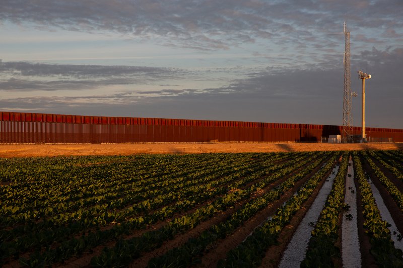 A field of lettuce grows in front of the border fence San Luis, Arizona, on Jan. 30, 2019. MUST CREDIT: Photo for The Washington Post by Caitlin O'Hara