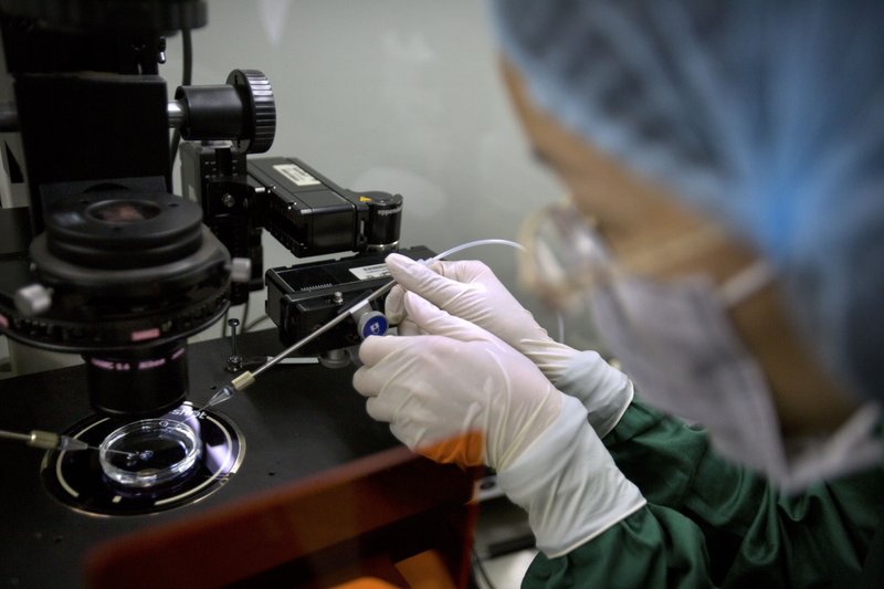 In this Oct. 9, 2018, file photo, Zhou Xiaoqin installs a fine glass pipette into a sperm injection microscope in preparation for injecting embryos with Cas9 protein and PCSK9 sgRNA at a lab in Shenzhen in southern China's Guandong province.  (AP Photo/Mark Schiefelbein, File)