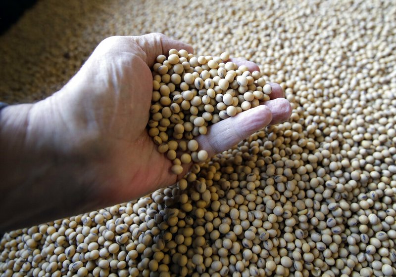 In this April 5, 2018, file photo sorted soybeans are ready for shipment and planting near White Cloud, Kan. Statistics show the nation's farmers are struggling to pay back their loans after years of low crop prices _ with nearly one out of every five loans in a government farm program now delinquent. Figures recently compiled show an overall jump in delinquencies for producers with direct loans from the Agriculture Department's Farm Service Agency. Nationwide, 19.4 percent of FSA direct loans nationwide were delinquent in January. That compares to 16.5 percent for the same month a year ago. (AP Photo/Orlin Wagner, File)