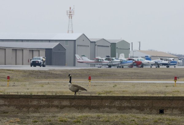 Bentonville Airport Contributes To City S Economic Strength The   191294828 BC GEESE 004 ORIG T600 