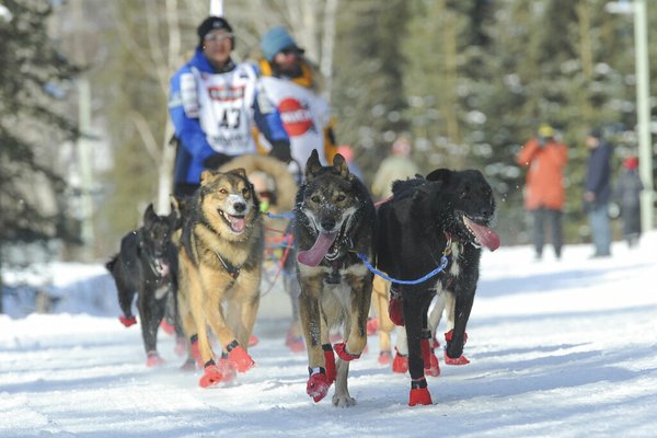 Alaska musher leads in the early stage of the Iditarod | Northwest ...