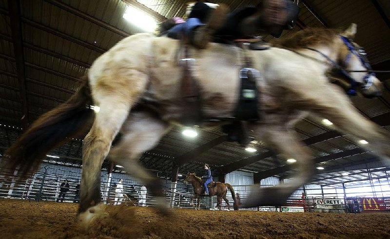 Lacey Bradford (center), 13, of Benton tries out Double Deuce as another horse trots past during the preview for the Arkansas Department of Correction, Agricultural Department Horse Auction on Friday, March 8, 2019, at the Saline County Fairgrounds in Benton. 