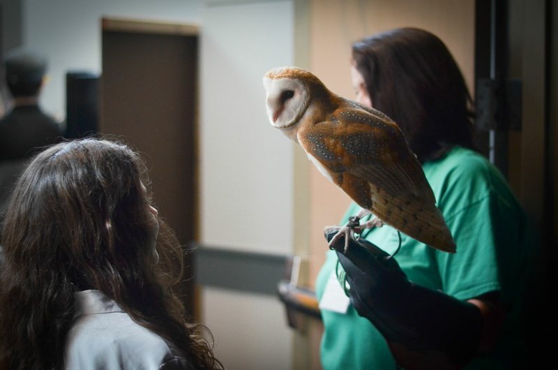 Photo courtesy Nilufar Zaifi The owls of Raptor Rehab in Central Arkansas return to the convention for the second year for guests to admire, learn about and take photos with. Proceeds from Wizard Way of the Ozarks will benefit Arkansas Support Network, a nonprofit helping individuals with disabilities live in the community.