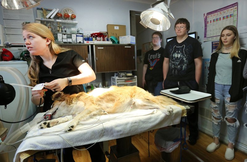 PHOTOS Students job shadow at veterinarian office in Farmington