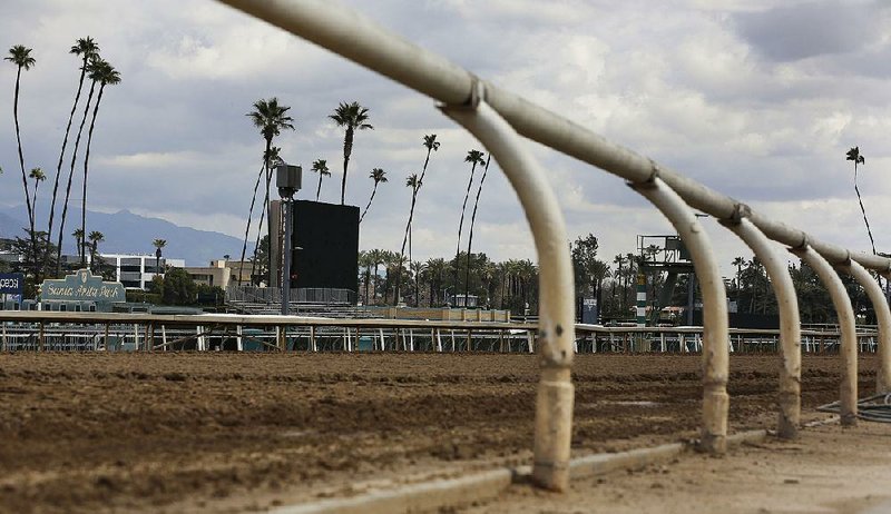 The empty home stretch at Santa Anita Park in Arcadia, Calif., is seen March 7. Princess Lili B, a 3-year-old fi lly, broke both front legs at the end of a workout Thursday at the track and was euthanized, becoming the 22nd horse to suffer catastrophic injuries at the track since Dec. 26. 