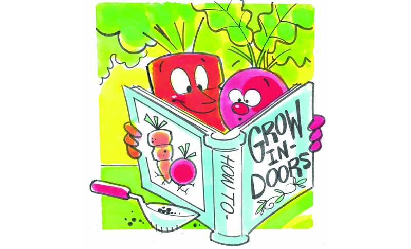 Light is critical to growing vegetables indoors, luckily ...