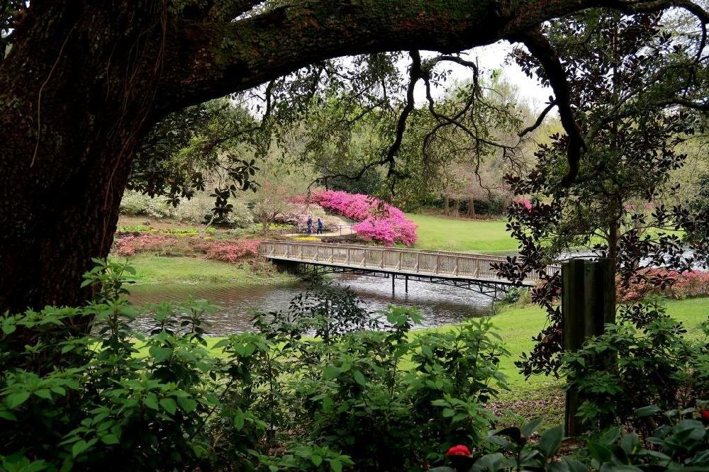 bellingrath gardens.mar19