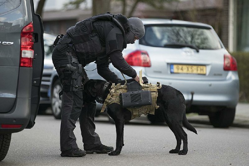 Dutch counterterrorism police install a camera on a dog as they prepare to enter a house after a shooting on a tram in Utrecht, Netherlands, killed three people.