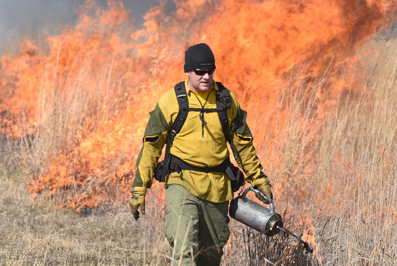 NWA Democrat-Gazette/DAVID GOTTSCHALK Wes McKinney, burn boss with Wildland Habitat, uses a drip torch Monday during a burn at the Woolsey Wet Prairie Sanctuary in Fayetteville. The burn serves as a vegetation management effort to maintain the plant community. Baseline monitoring identified 47 plant species at the site in 2005. At the end of the 2018 growing season, 482 plant species have been observed, 11 of which are species of special concern that are tracked by the Arkansas Natural Heritage Commission.