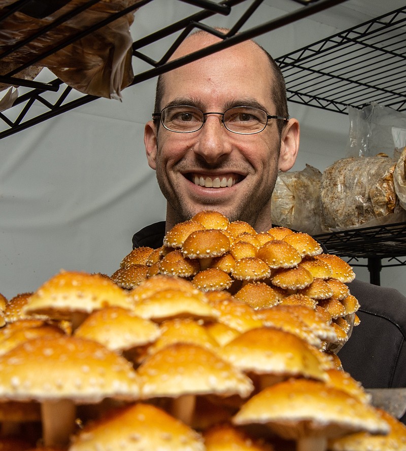 Jess Wilkins of Wye Mountain Mushroom Farm talks fungus and shares