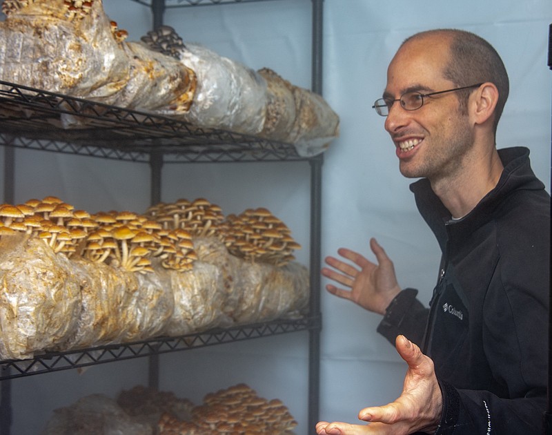 Jess Wilkins of Wye Mountain Mushroom Farm talks fungus and shares