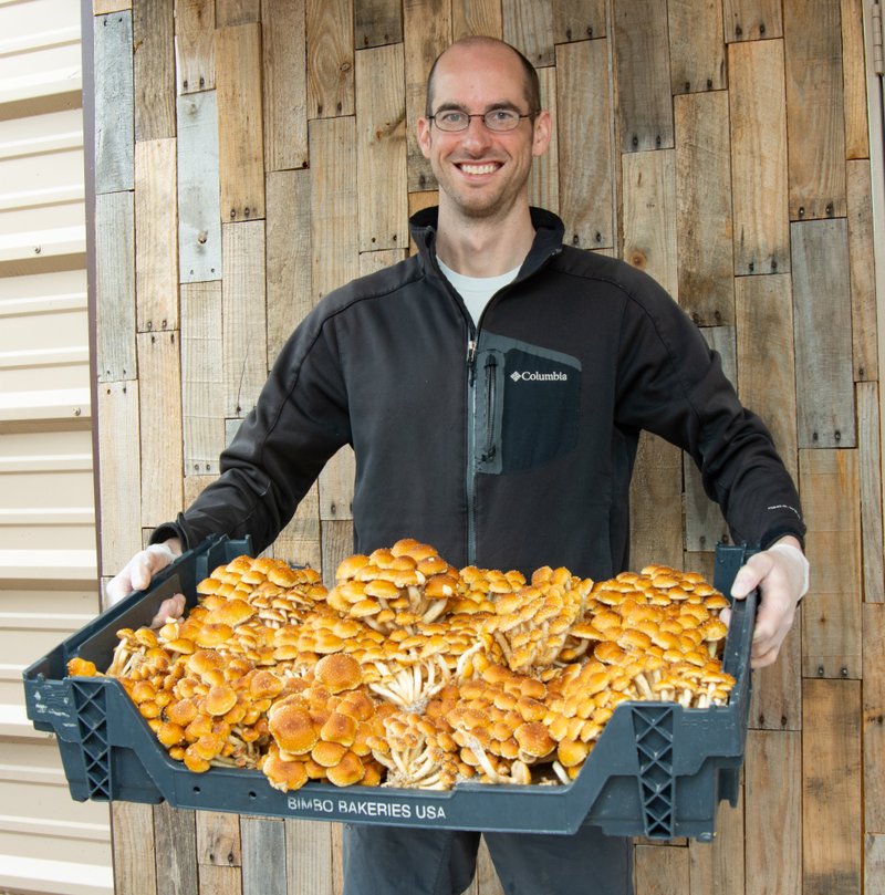 Jess Wilkins of Wye Mountain Mushroom Farm and a crop of chestnut mushrooms.
Arkansas Democrat-Gazette/CARY JENKINS

