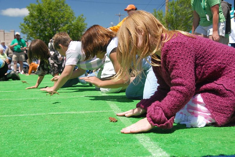 Children participate in the toad races at Conway's Toad Suck Daze.