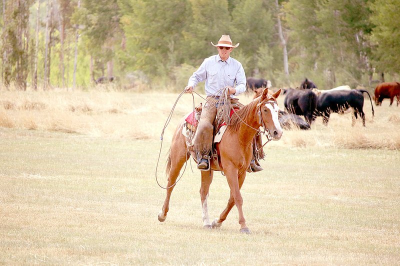 COURTESY PHOTO B.J. Jordan of Crossroads Horse Ministry makes his way through the herd looking for sick animals that need to be tended to. The ministry spends part of the year in Missouri and part of the year in Colorado.