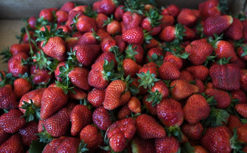 Strawberries contain citric acid. (Democrat-Gazette file photo/J.T. WAMPLER)