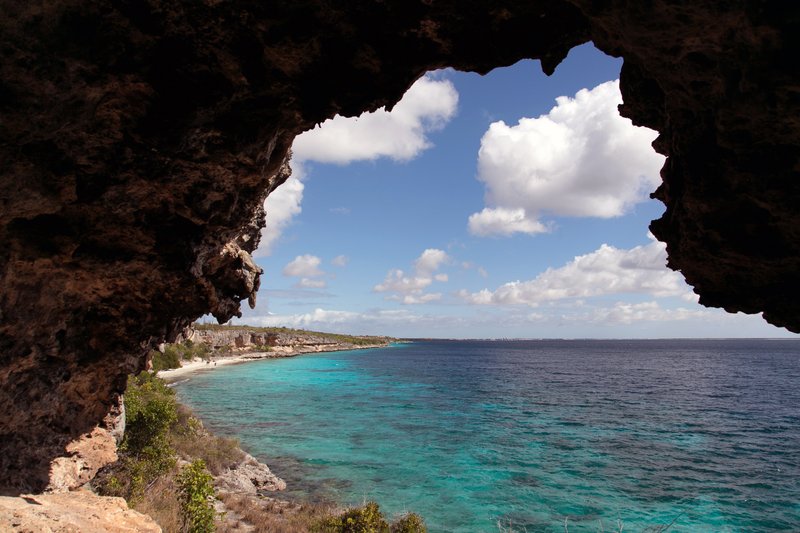The 1000 Steps dive access point gives a view of Bonaire’s coastline. The island is rimmed with 62 numbered dive and snorkel sites and about 65 species of hard corals thrive there. Photo by Erik Freeland via The New York Times