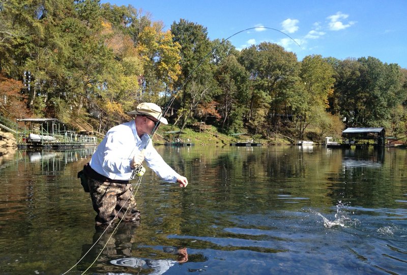 In this file photo a man is shown fishing for trout in the Greers Ferry tailwater. 