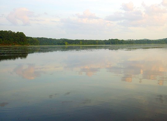 The Sentinel-Record/Corbet Deary: DeGray's Lower Lake, located just below the DeGray Lake Dam in this July 22, 2016 file photo.  