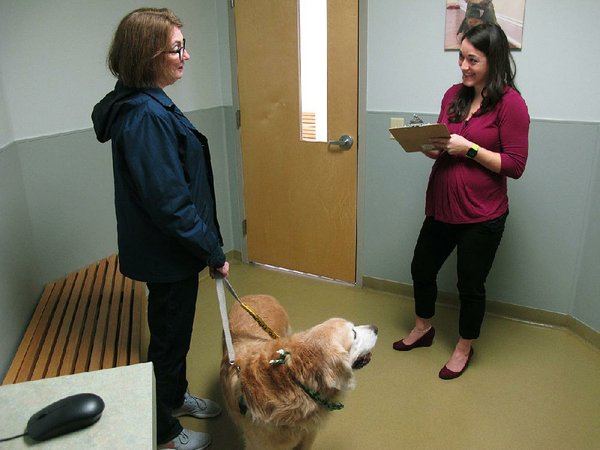 More Pets Getting Fresh Food In Bowls