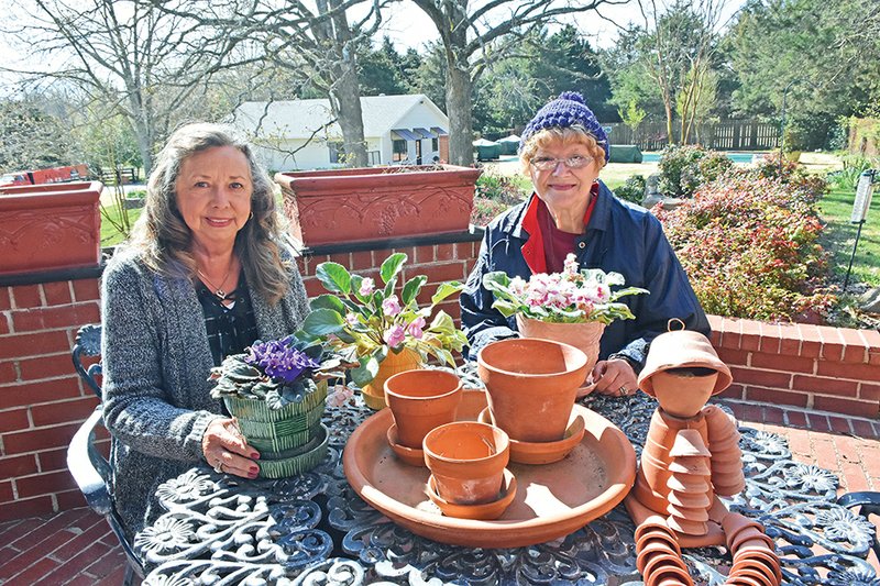 Linda Whitted, left, and Mary Ellen Nutter, both of Searcy, show a sampling of African violets that may be included in the upcoming White County Master Gardeners Plant Sale on Saturday. This year’s event will feature a wide variety of house plants, including Christmas cactus, African violets, peace lilies and succulents, as well as herbs, trees, shrubs, vegetables, annuals, perennials, hanging baskets, ornamental grasses, and container gardens for both sun and shade.