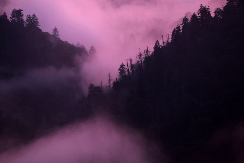 Fog settles near sunset in Great Smoky Mountains National Park in Tennessee. Formed between 200 and 300 million years ago, the Great Smokies are some of the oldest mountains in the world. MUST CREDIT: Washington Post photo by Bonnie Jo Mount
